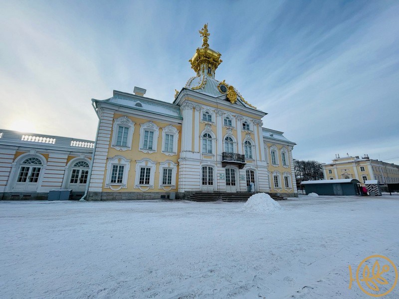 Зимние истории дворцов Петербурга (с Новогодним банкетом)